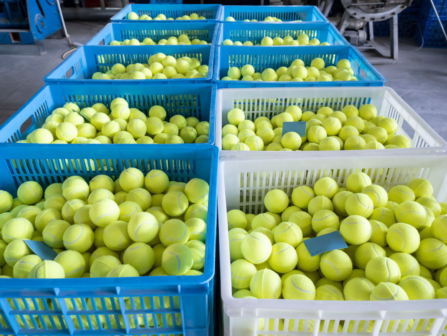 Tennis Balls of Different Colors-3pcs/can